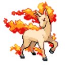 078 Rapidash icon
